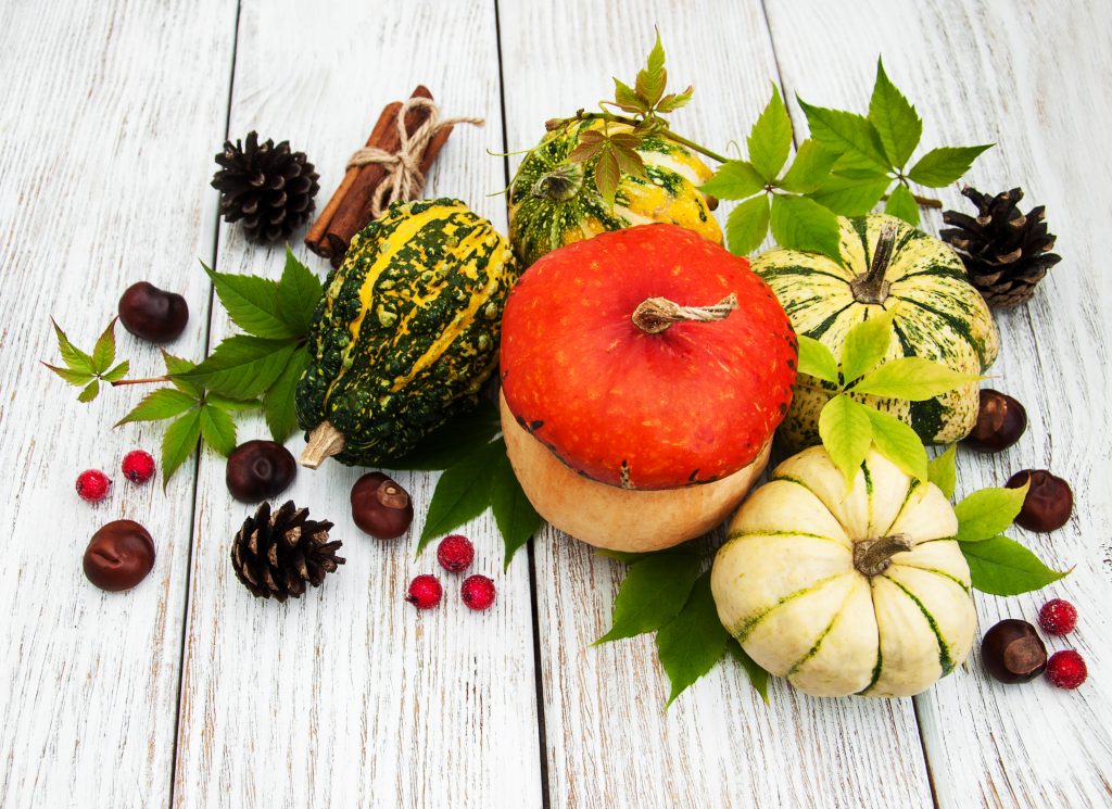 A sample post showcases a variety of gourds and squash nestled among green leaves, pinecones, cinnamon sticks, and small red berries on a white wooden surface.