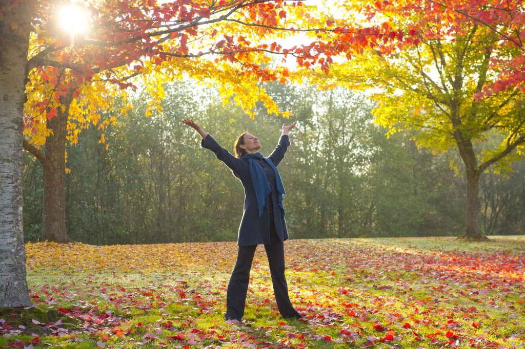A person stands in a park with arms raised, surrounded by vibrant autumn leaves blanketing the trees and ground. Sunlight filters through the branches, creating a serene moment. Sample Post #1 captures this idyllic scene perfectly.